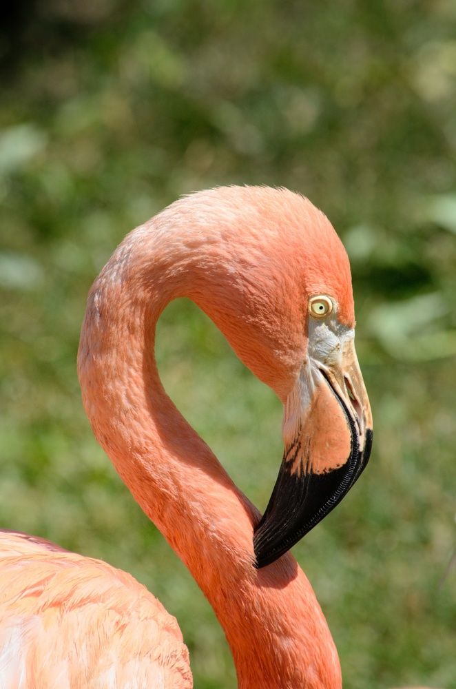 Photograph by Ирина Курицына