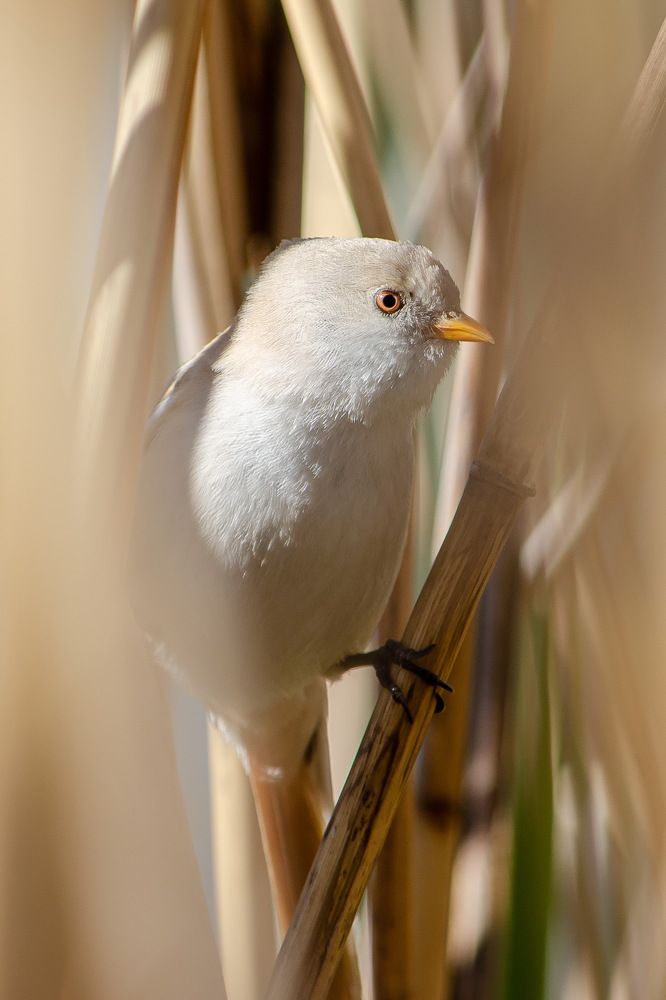 Photograph by Оксана Маховская