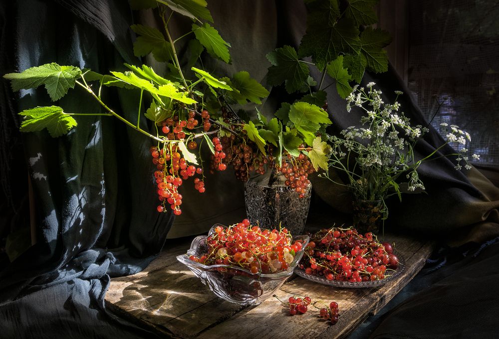 Фотография автора Milena Ivanova