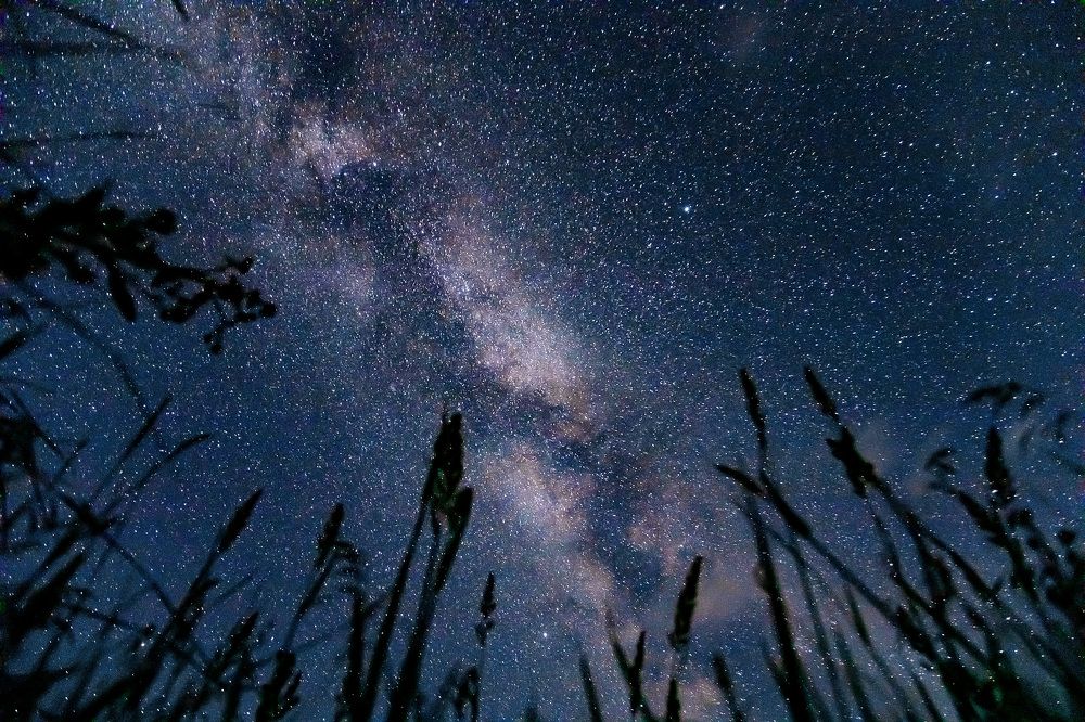 Photograph by Алина Аристова