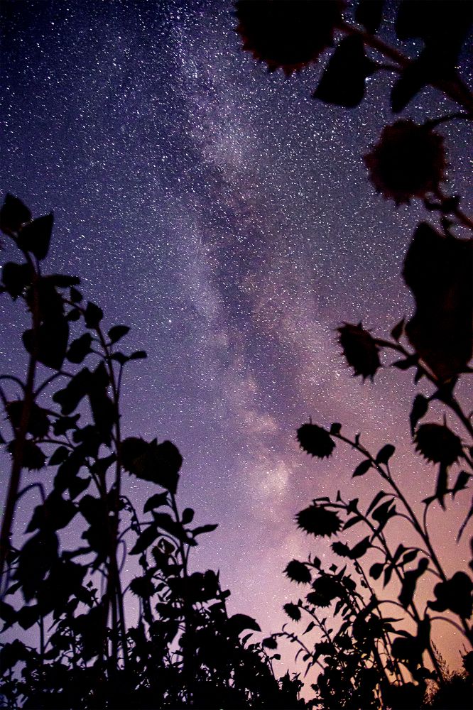 Photograph by Алина Аристова