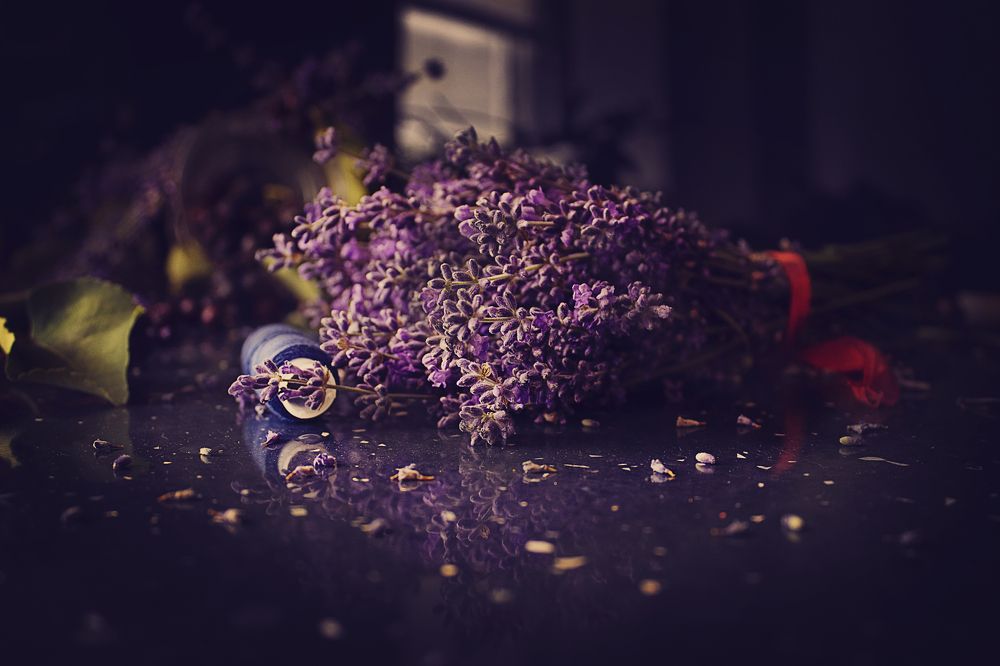 Photograph by Надежда Ржевская