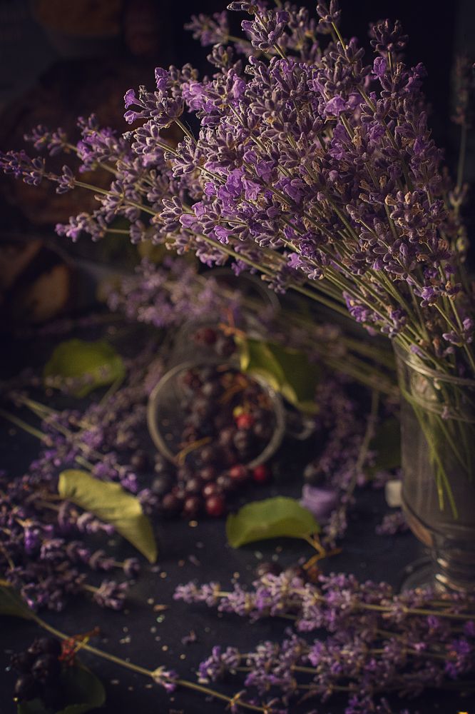 Photograph by Надежда Ржевская