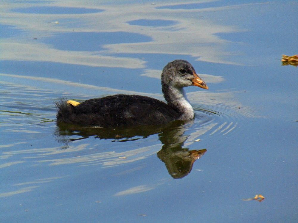 Photograph by Ольга Шевцова