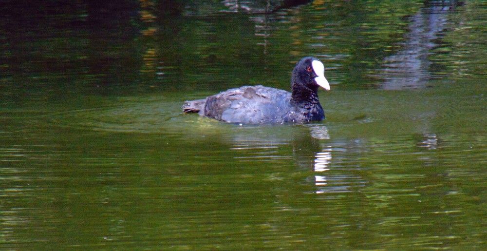 Photograph by Ольга Шевцова