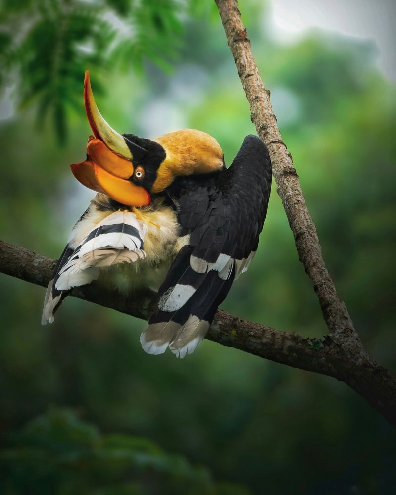 Flaunting her gymnastic skills