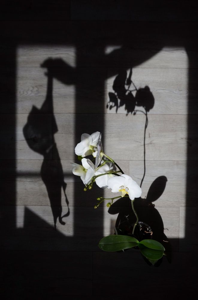 Photograph by Елена Сырцева