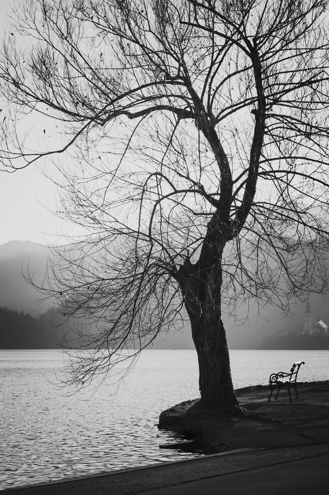 Photograph by Iryna Rybachenko