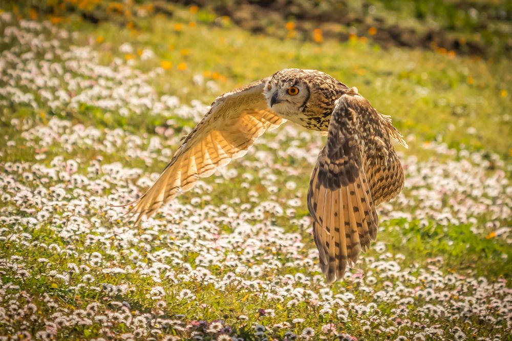 Photograph by Дария Максимова