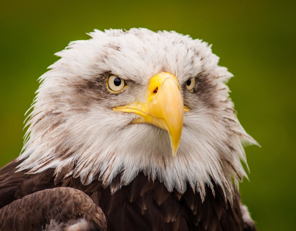 Photograph by Дария Максимова