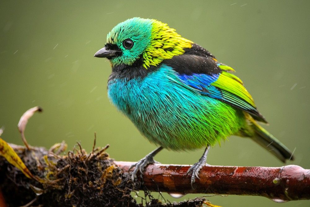 Photograph by Eduardo Bom