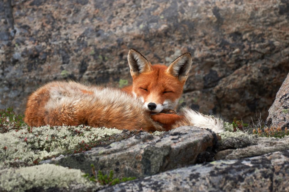 Photograph by Лана Полякова