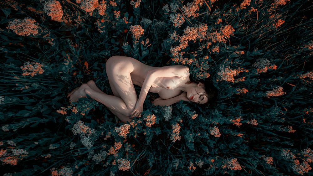 Фотография автора Сигал Георгий