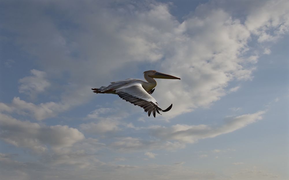 Photograph by Александр КАИ