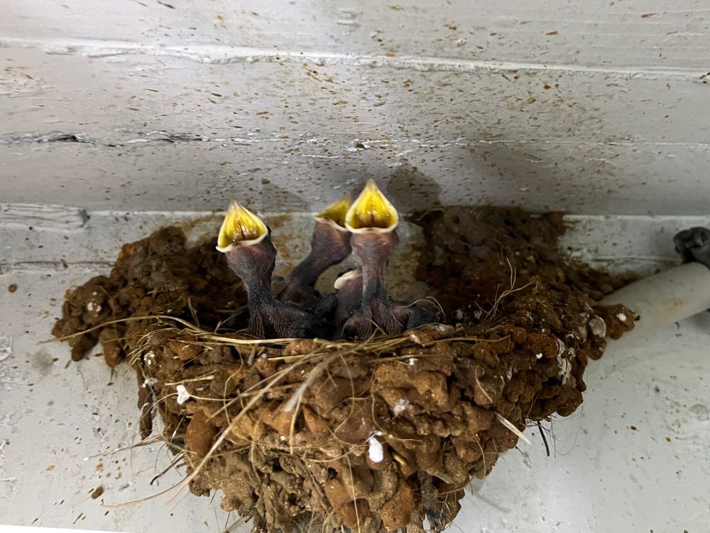 Photograph by Uri Yerochov