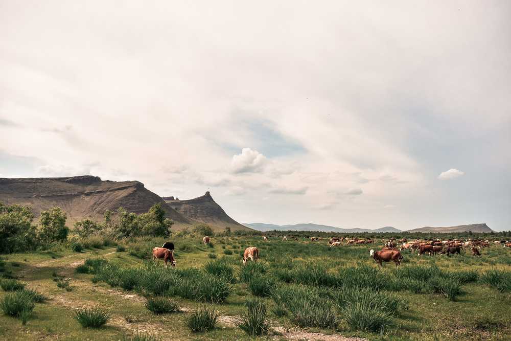 Photograph by Ольга Пономарева