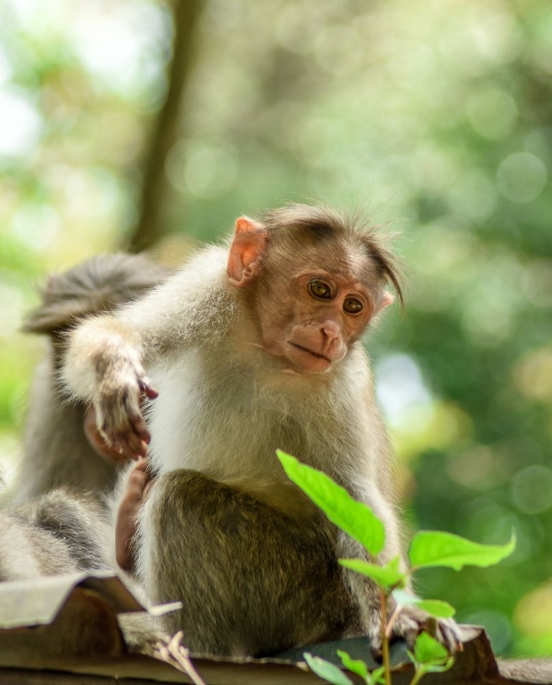 Photograph by Sreerag k k