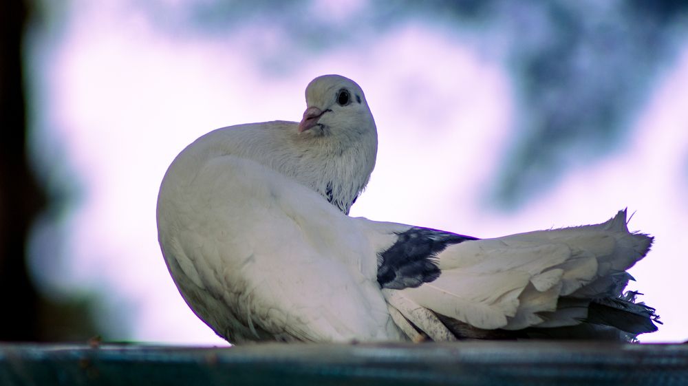 Photograph by Евгений Кузьмин