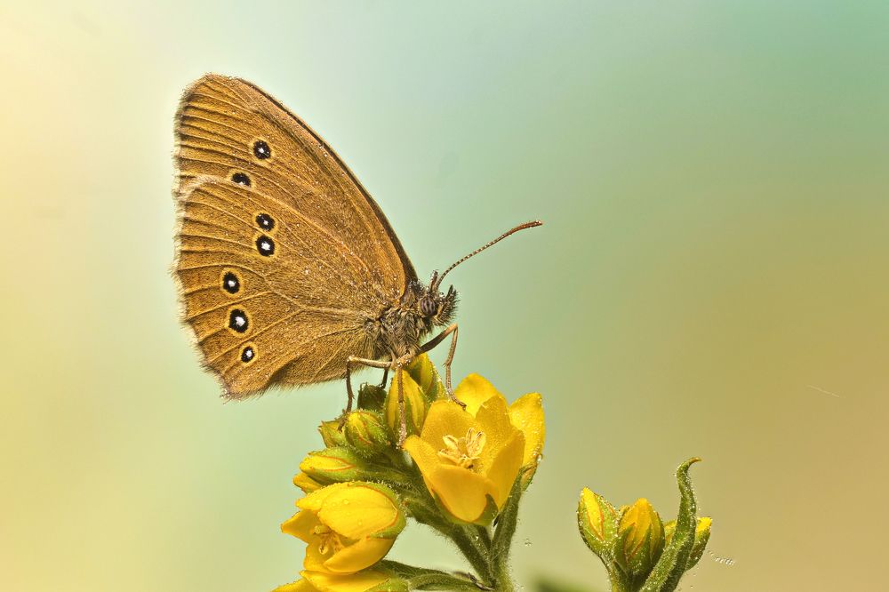 Photograph by Максим Вышарь