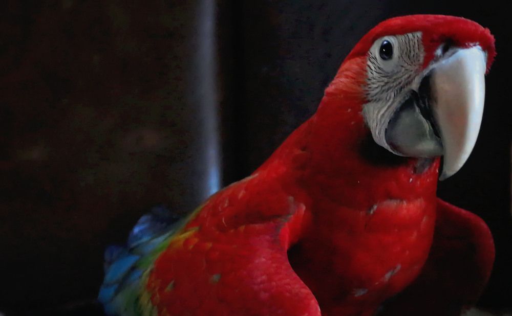 Photograph by Aleksandr Larionov