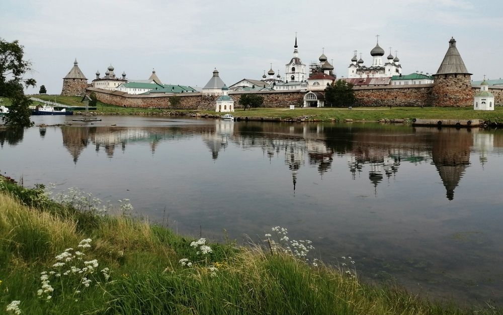 Цветущий берег