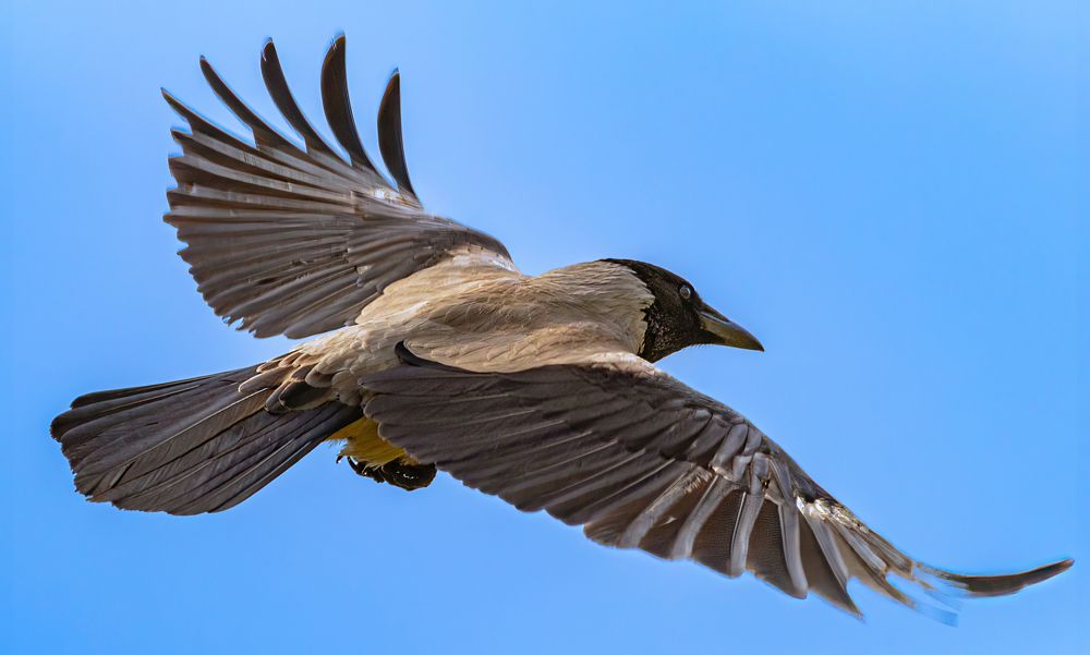 Photograph by Парфентьев Антон