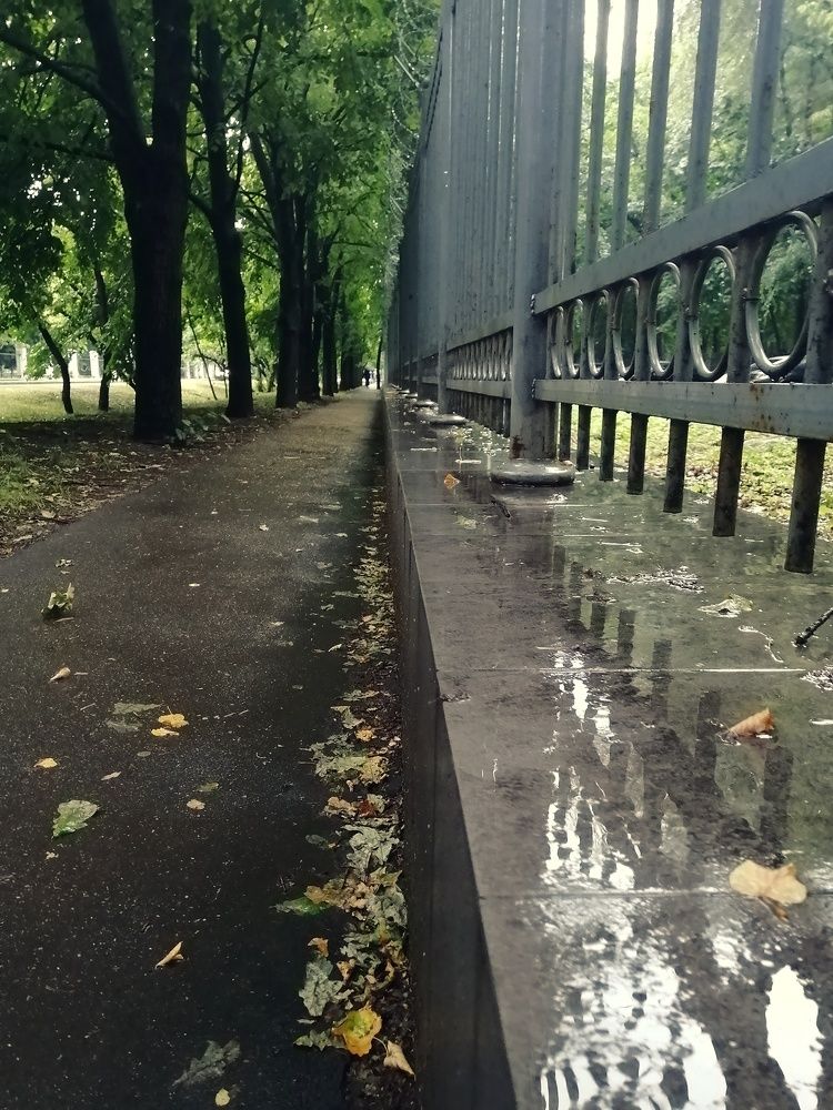 Photograph by Светлана Фокина