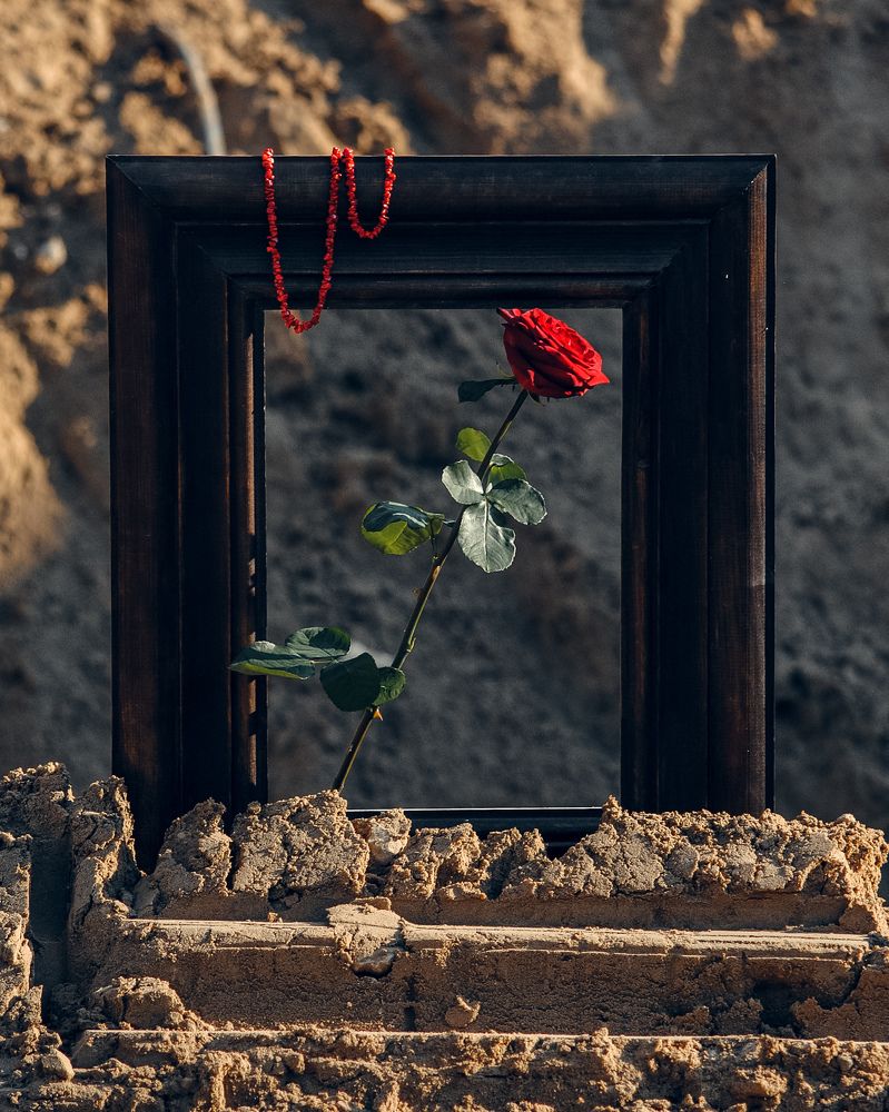 Photograph by Алексей Фаберже