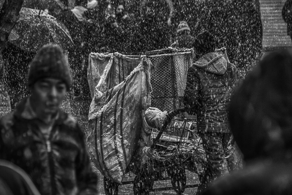 Photograph by Nasrin Navayi