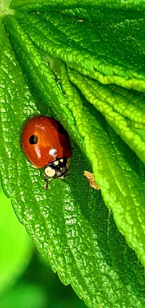 Photograph by Евгения Ульянова