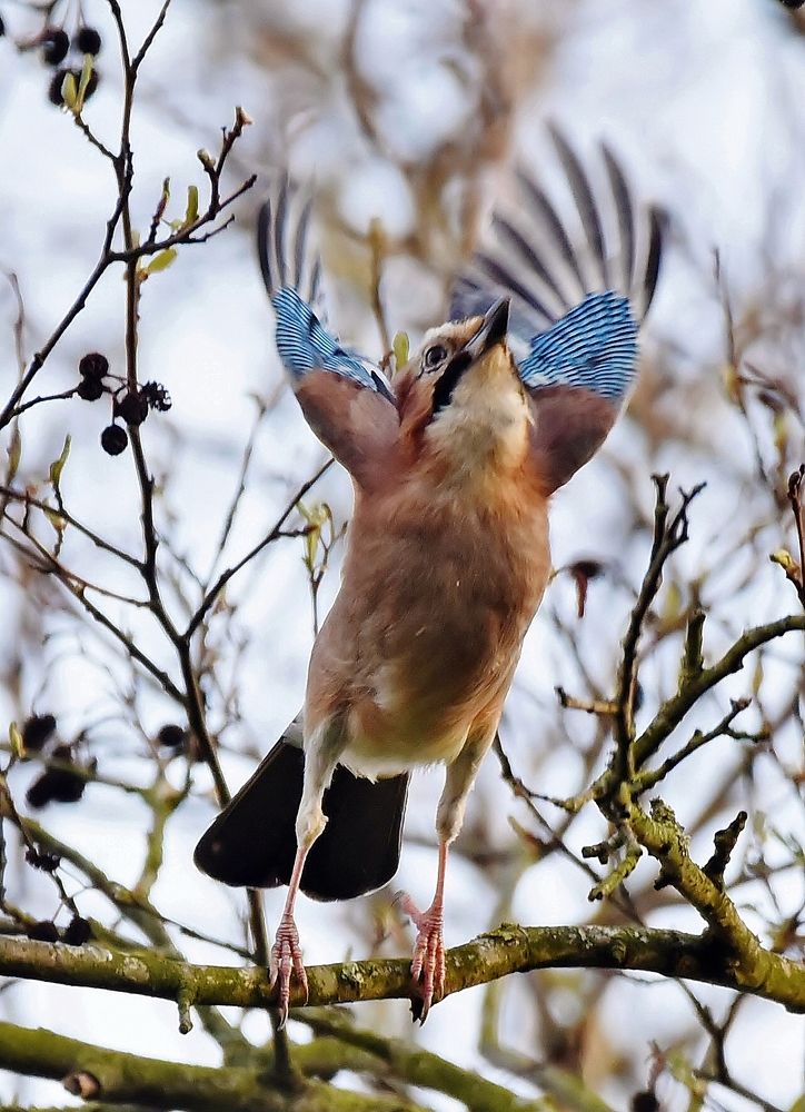 Photograph by Laroy Rony