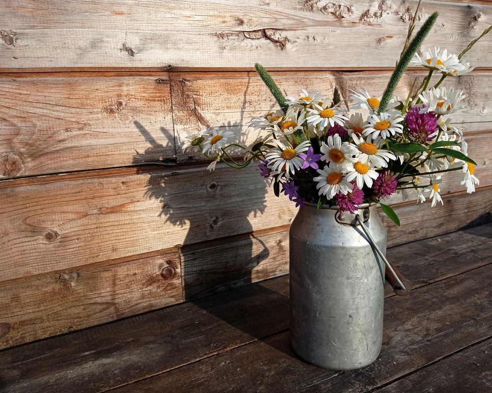 Photograph by Ольга Третьякова