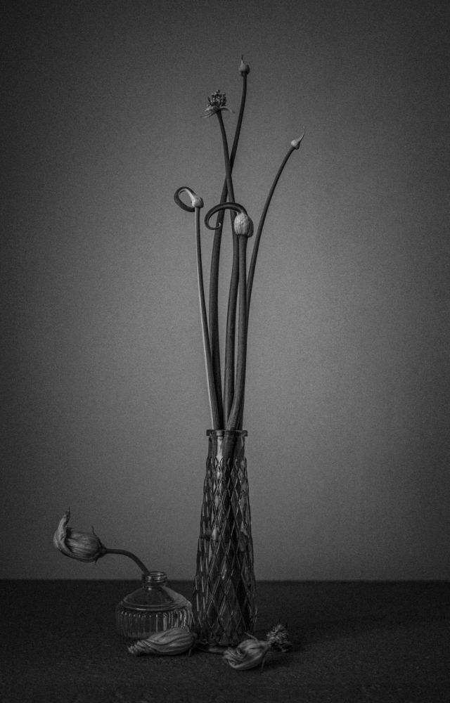 We are so different...