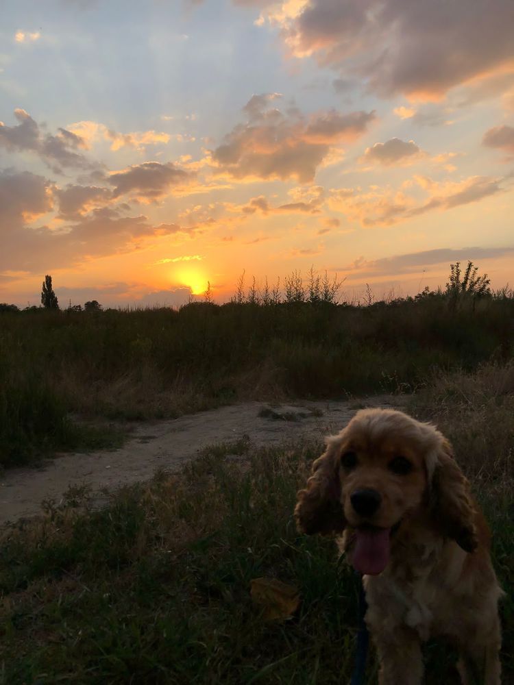 Photograph by Olga Afanaseva