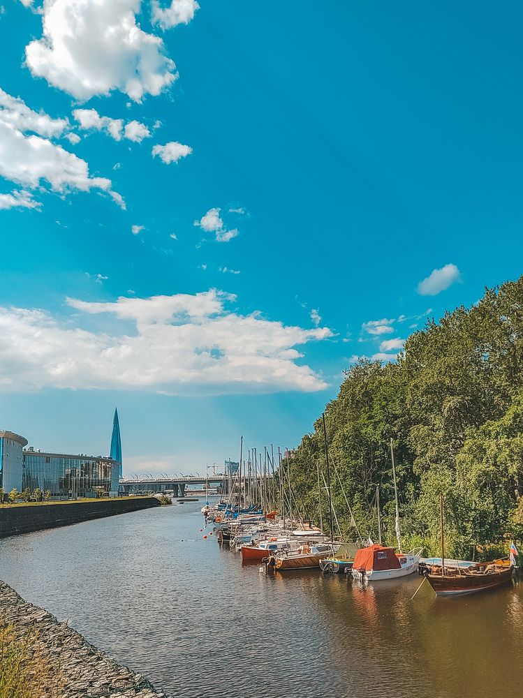 Фотография автора Наталья Королева