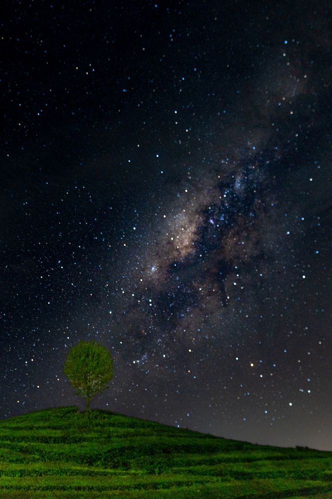 Photograph by Yustiawan