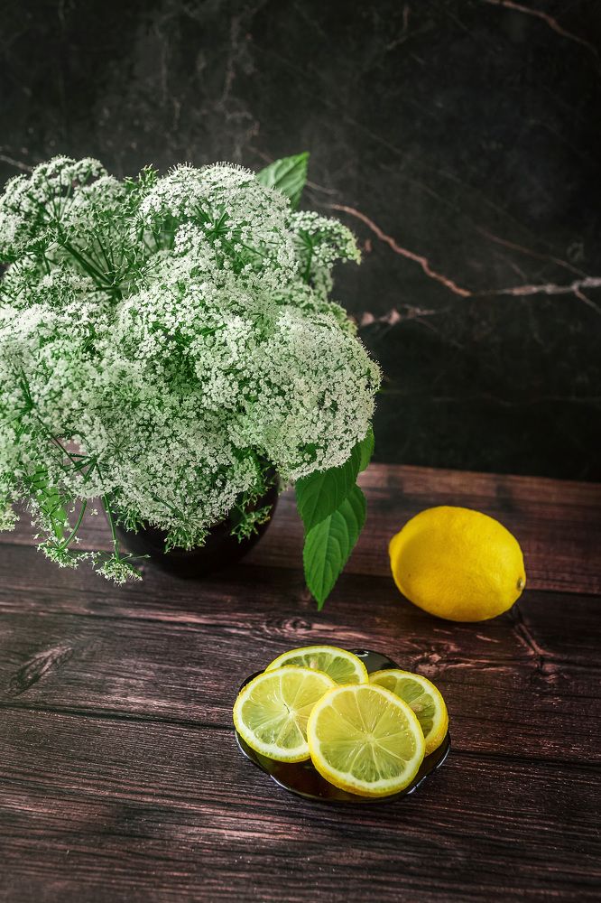 Фотография автора Альбина Кадочникова