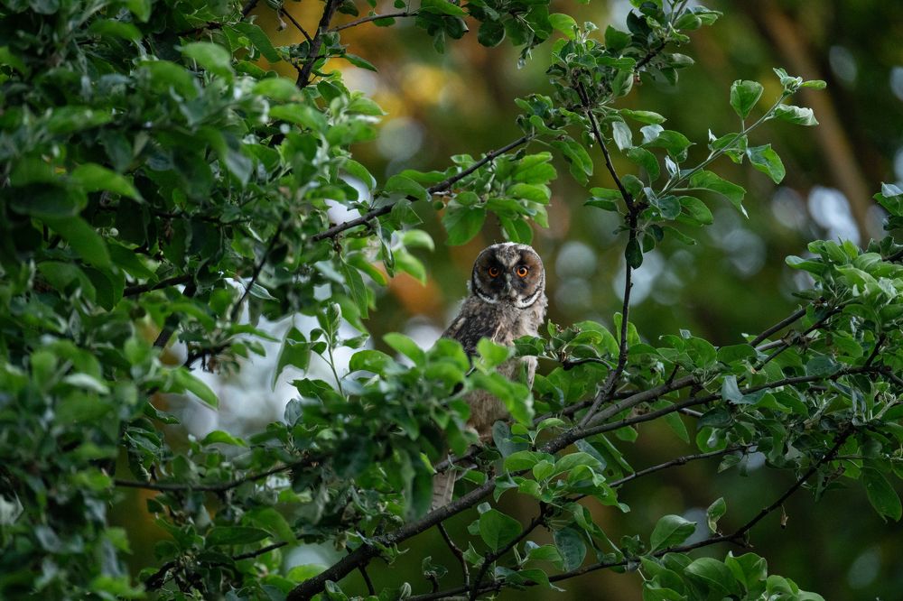 Photograph by Екатерина Аксёнова