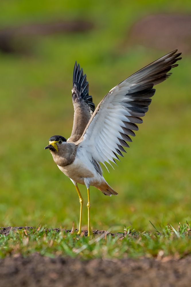 Photograph by Shahul valasy