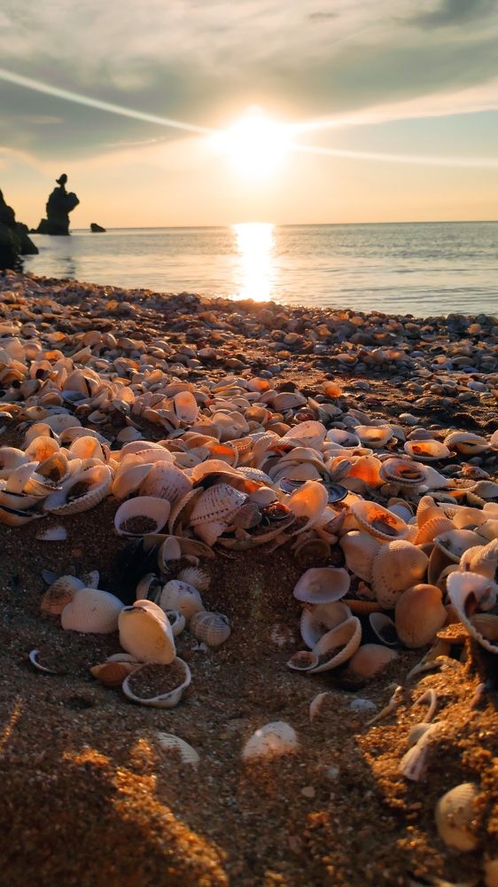 Photograph by Елена Душко