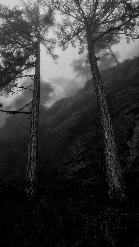 Photograph by Елена Душко