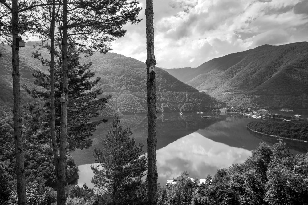 Фотография автора Milena Ivanova