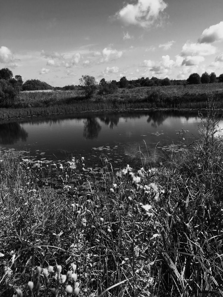 Photograph by Анатолий Протасов