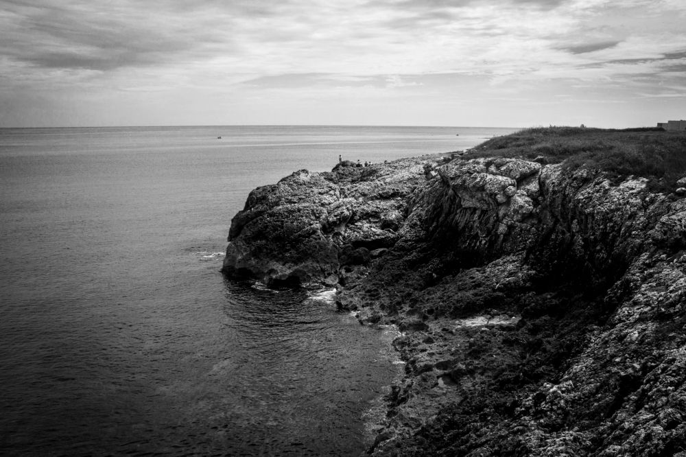 Photograph by Suarez Ricardo