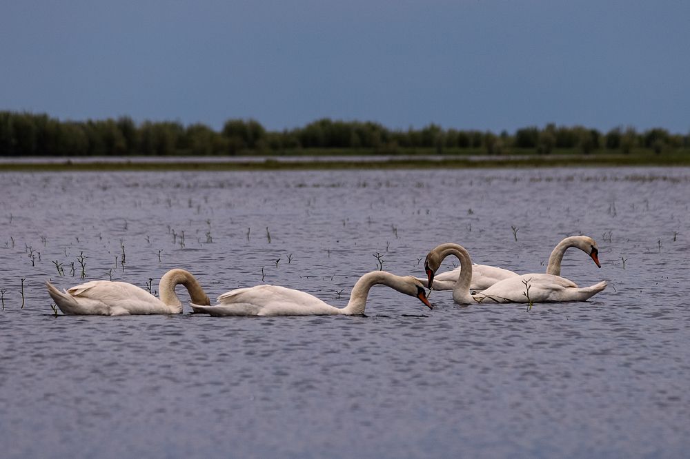 Photograph by Оксана Лупекина