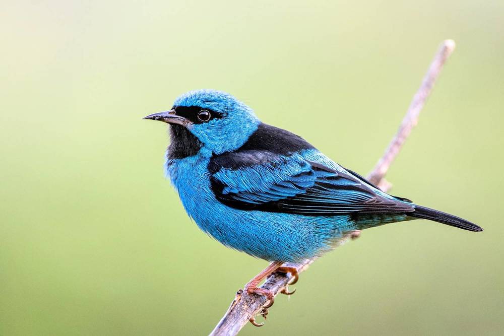 Photograph by Eduardo Bom