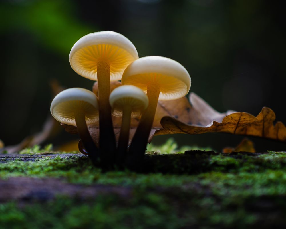 Photograph by Вайсберг Александр