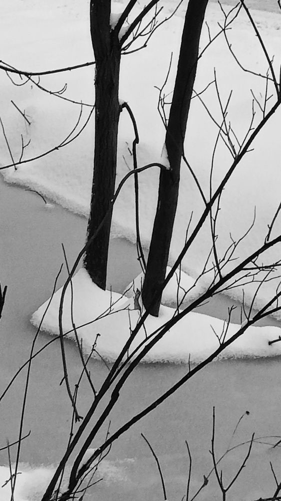 Photograph by Александр Alexander Zheleztsov