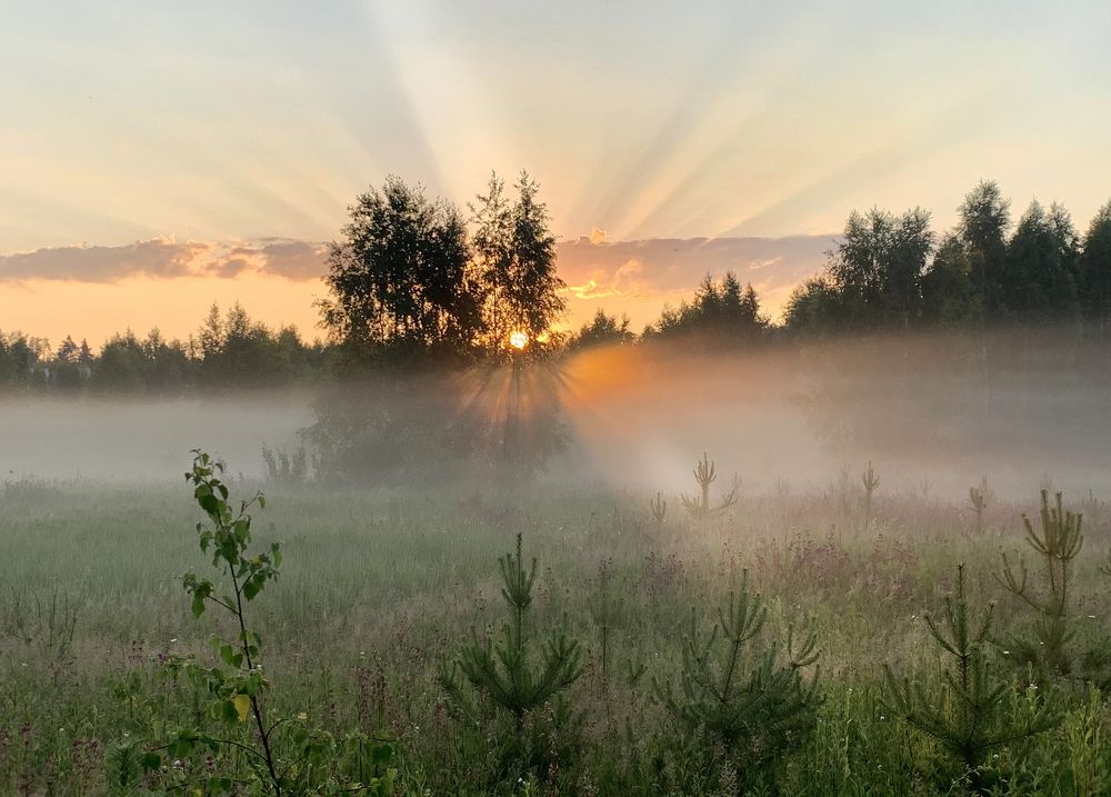 солнце встаёт