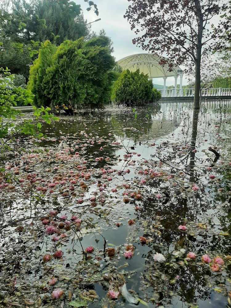 Photograph by Natalya Vasilenko